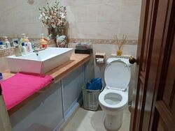 Peakview Estate (D16), Terrace #458858901